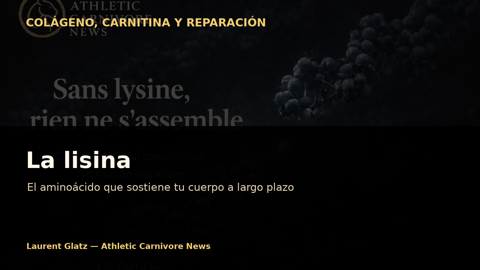 La lisina: el aminoácido que sostiene el organismo a largo plazo