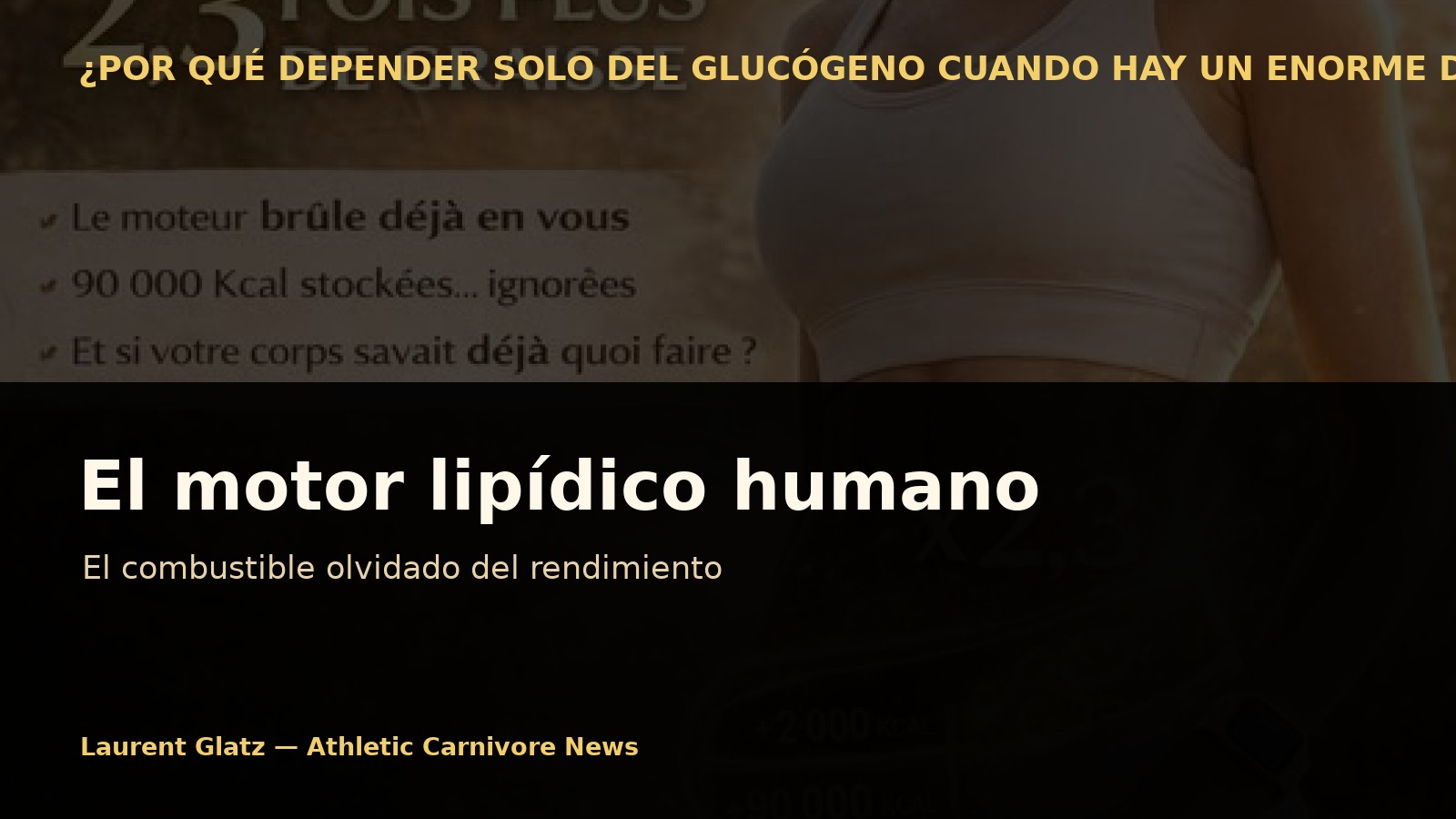 El motor lipídico humano: el combustible olvidado del rendimiento