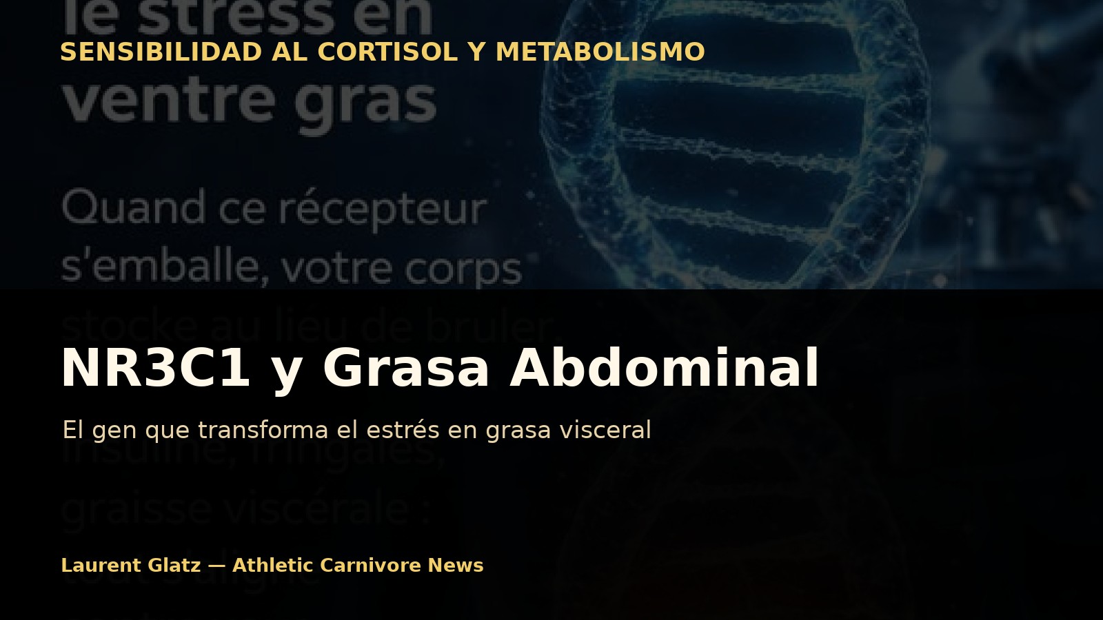 NR3C1: el gen que puede convertir el estrés en grasa abdominal