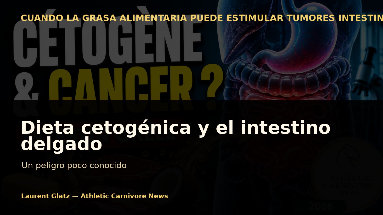 La dieta cetogénica y el intestino delgado: un peligro poco conocido