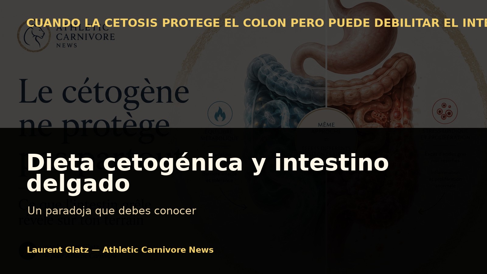 La dieta cetogénica y el intestino delgado: un paradoja esencial