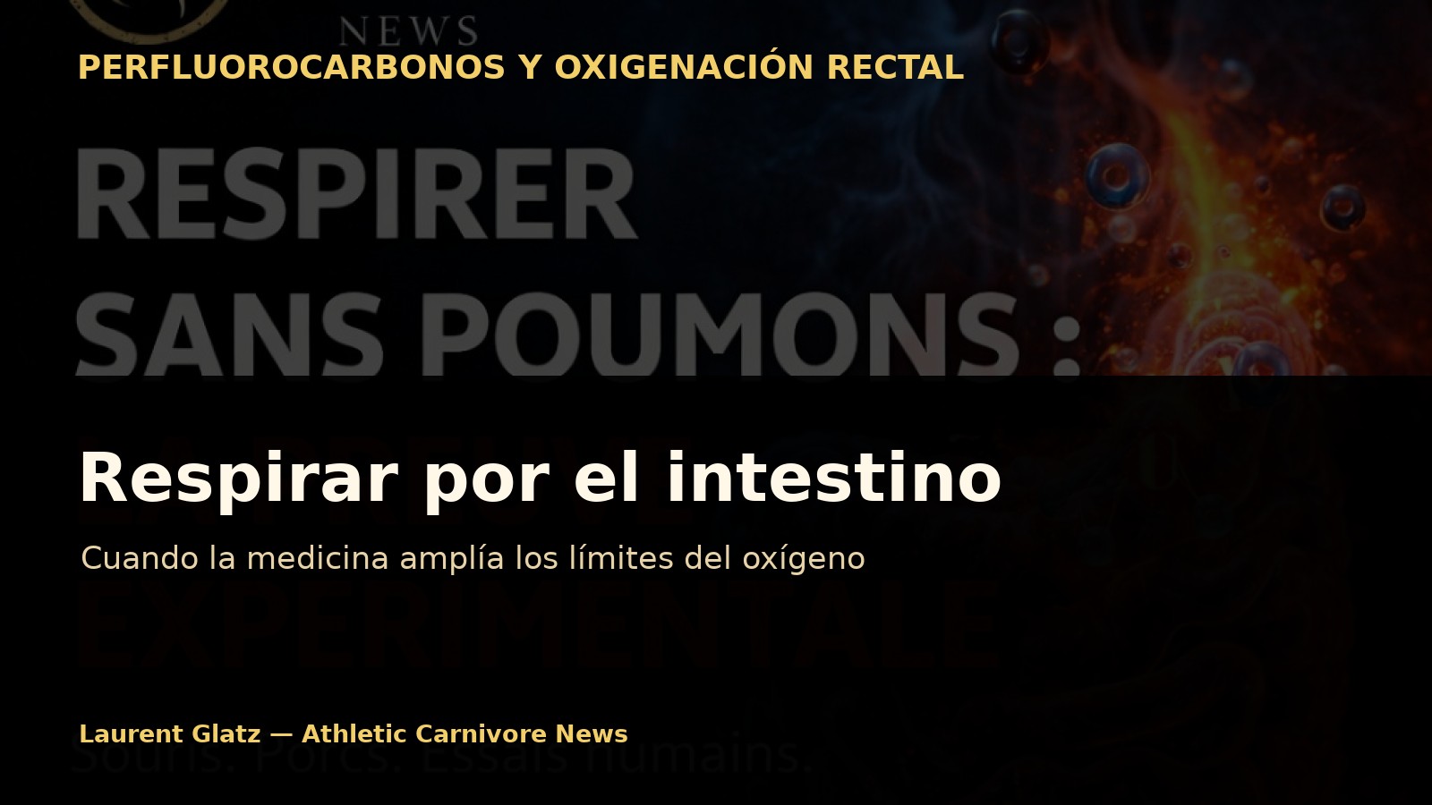 Respirar por el intestino: cuando la medicina amplía los límites del oxígeno