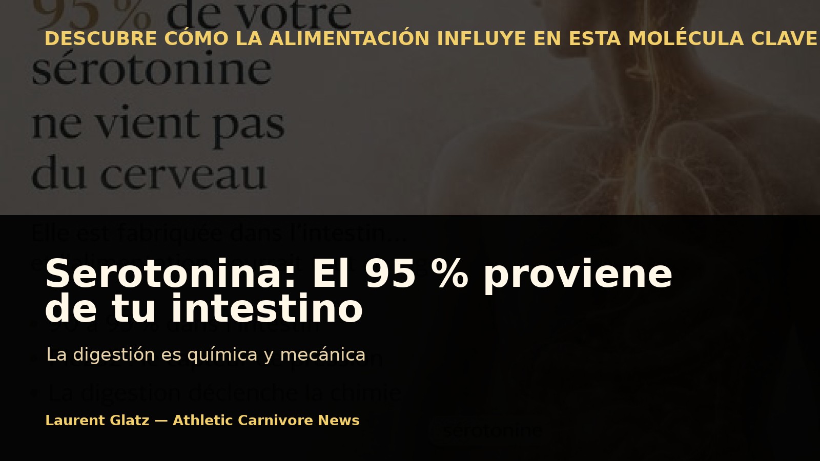 Serotonina: por qué tu intestino produce el 95 % y cómo influye la alimentación