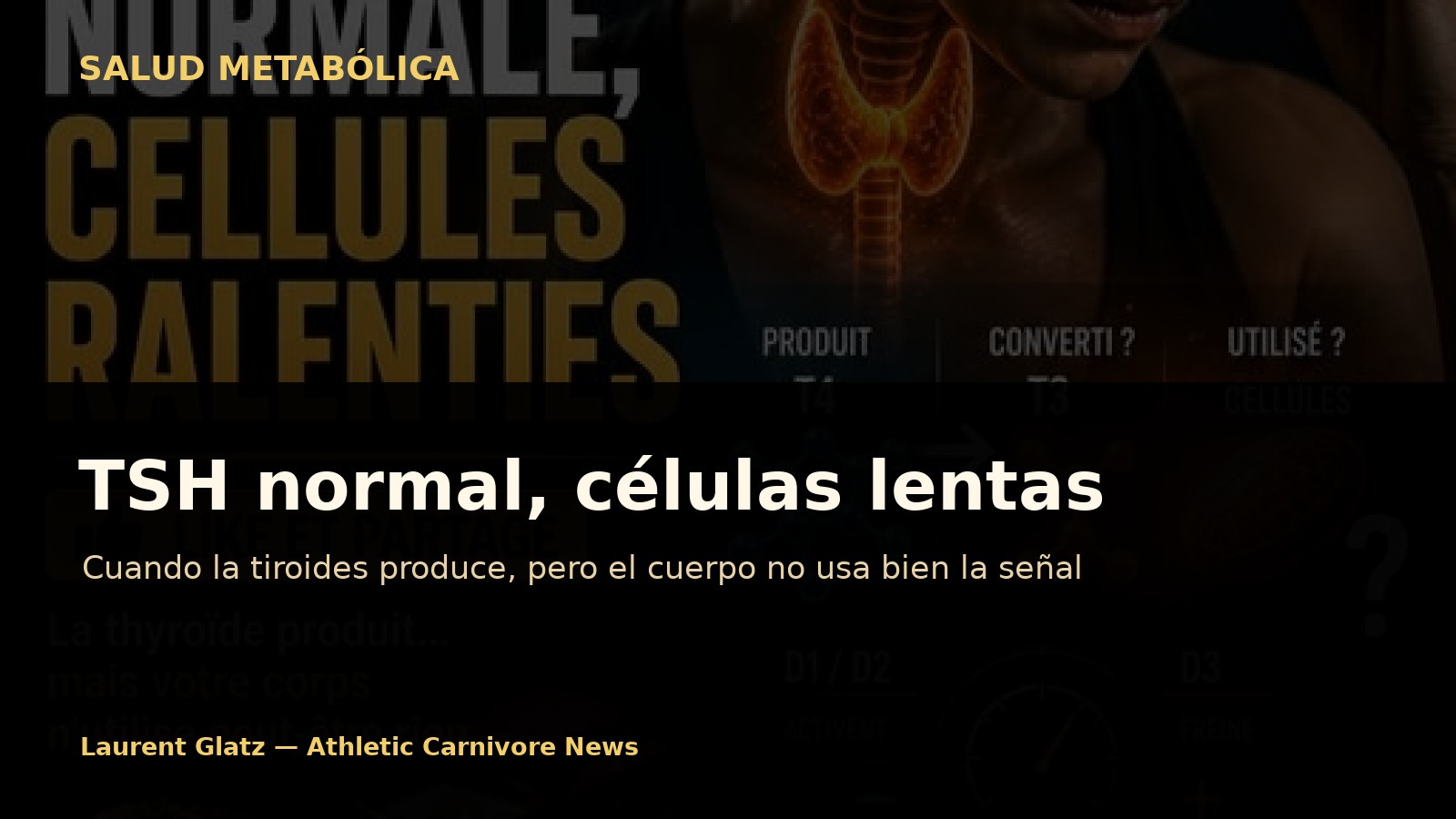 TSH normal, células lentas
