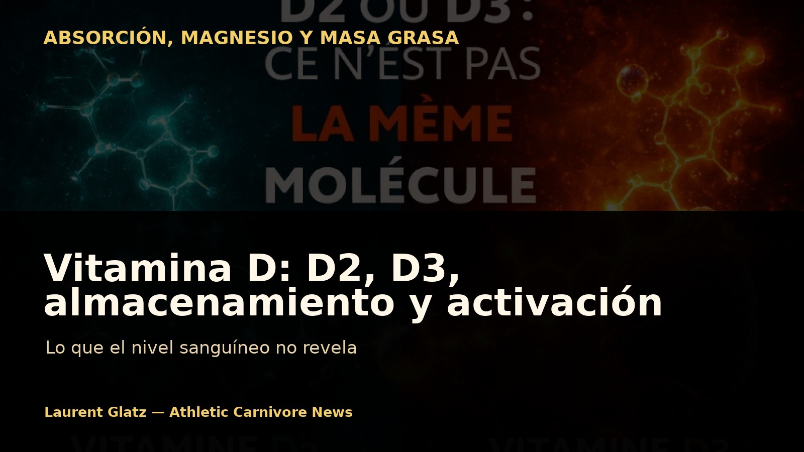 Vitamina D: D2, D3, almacenamiento y activación — lo que no revela el nivel sanguíneo