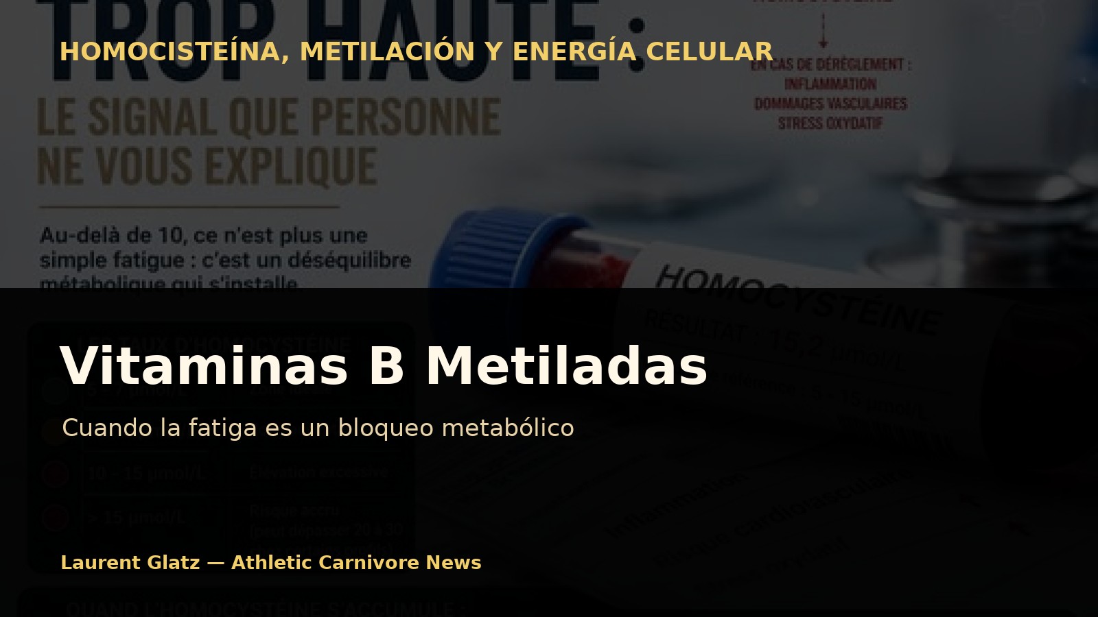 Vitaminas B metiladas: cuando la fatiga es un bloqueo metabólico