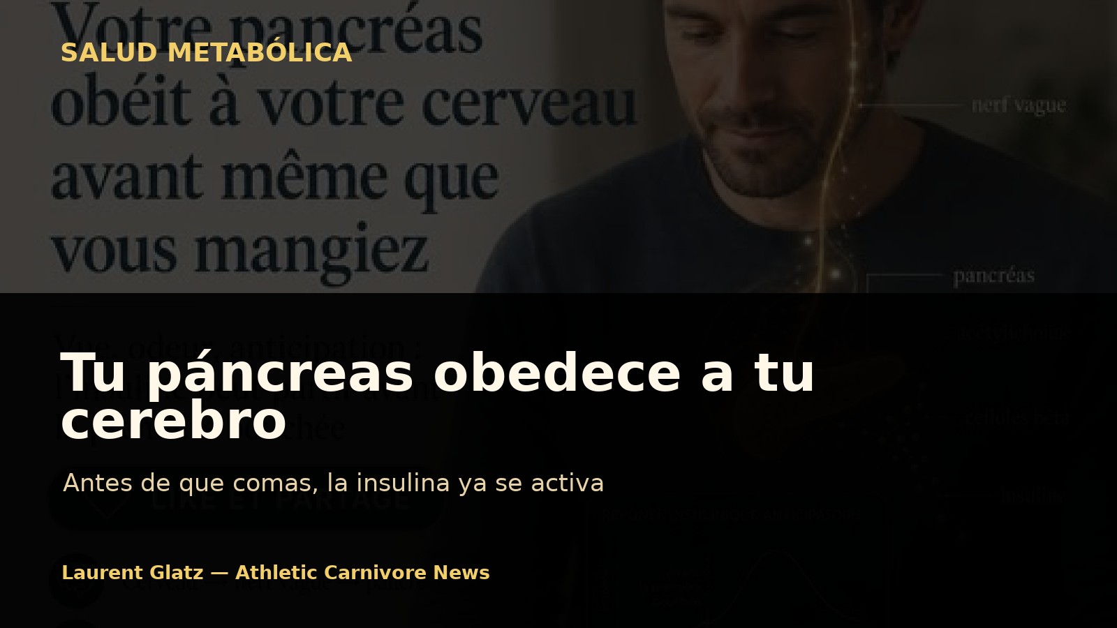 Tu páncreas obedece a tu cerebro antes de que comas