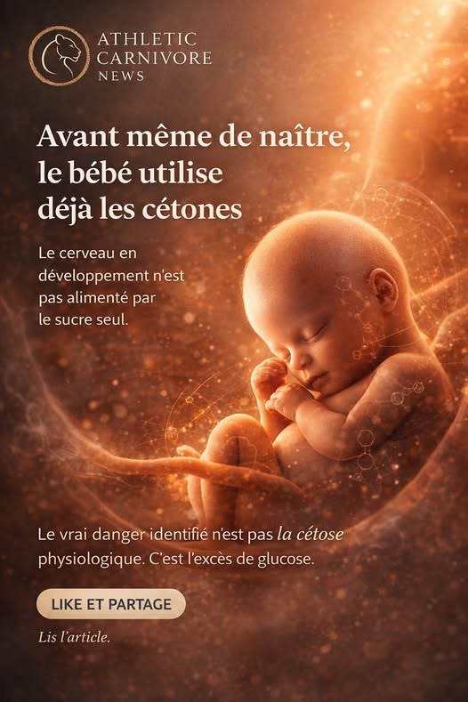Le premier carburant du vivant n’est pas le sucre