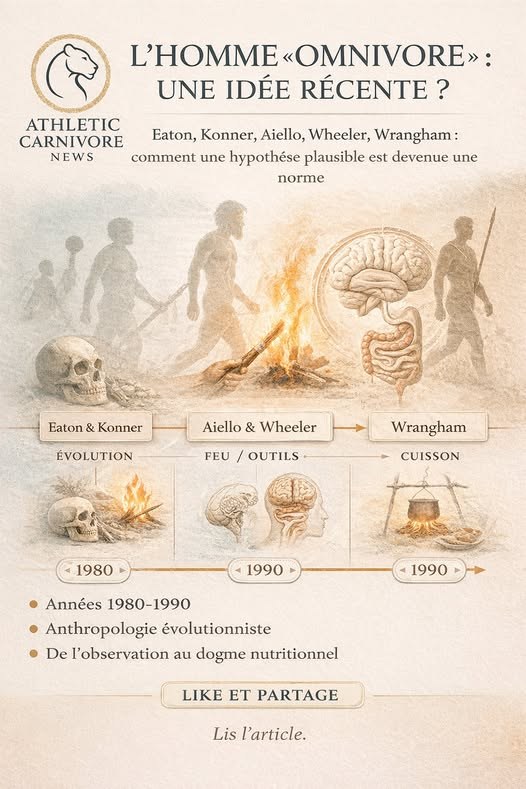 L’homme omnivore : une étiquette tardive plus qu’une preuve biologique