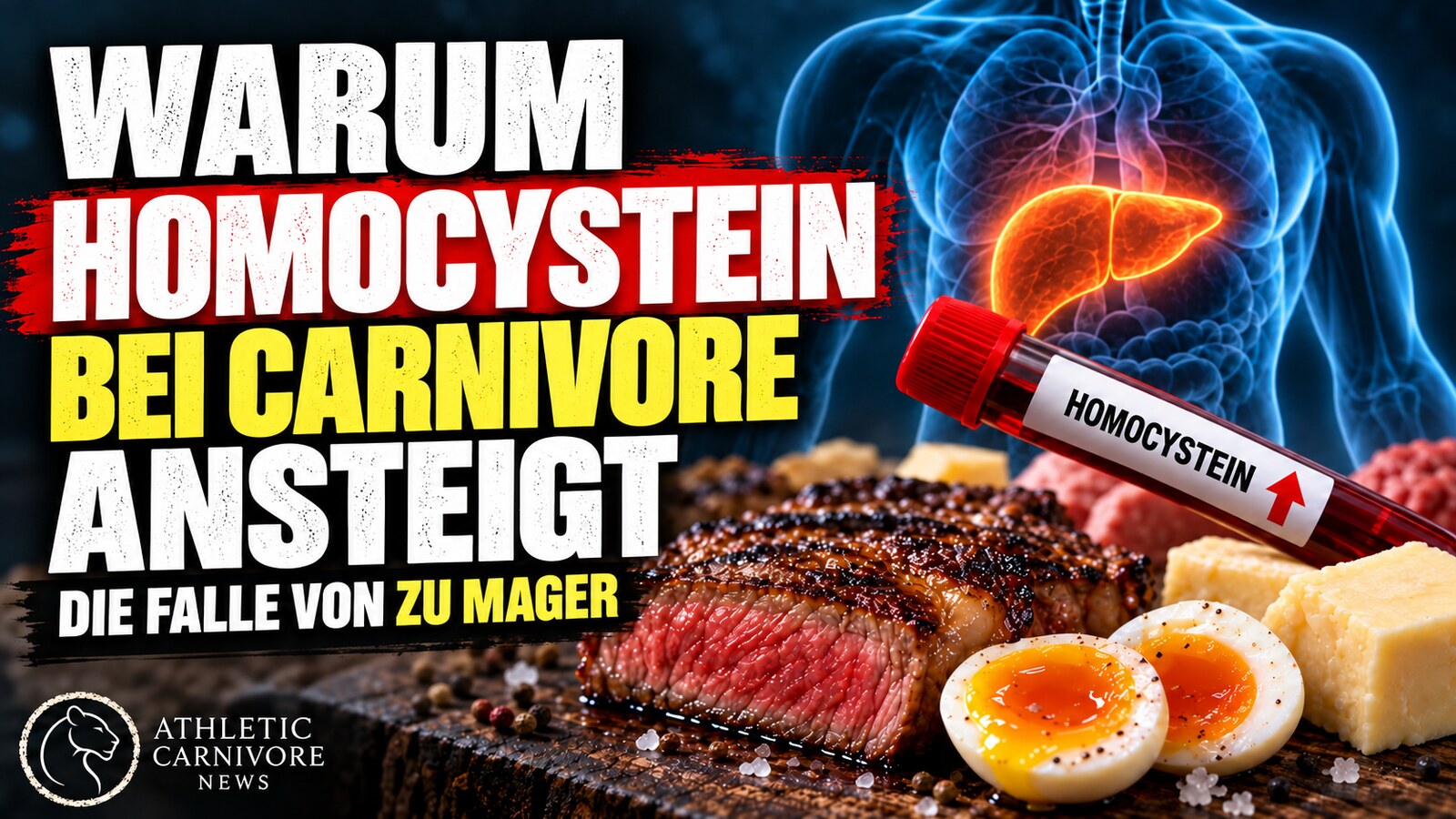 Warum Homocystein bei einer mageren Carnivore-Diät ansteigt