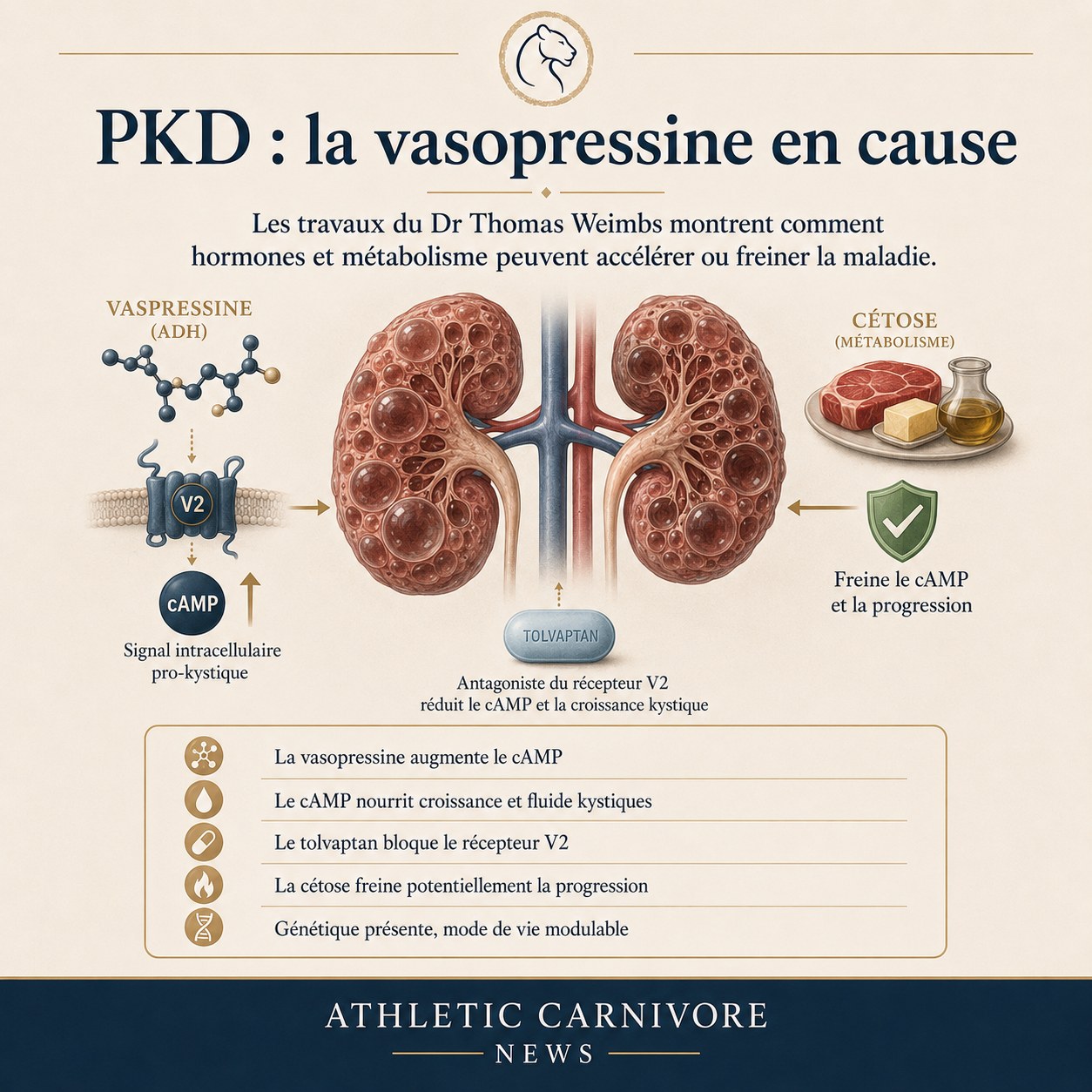 PKD : la vasopressine en cause