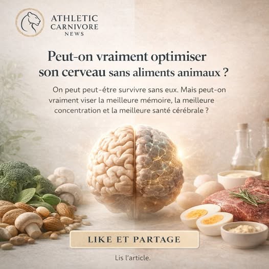 Pourquoi ton cerveau sèche sans produits animaux