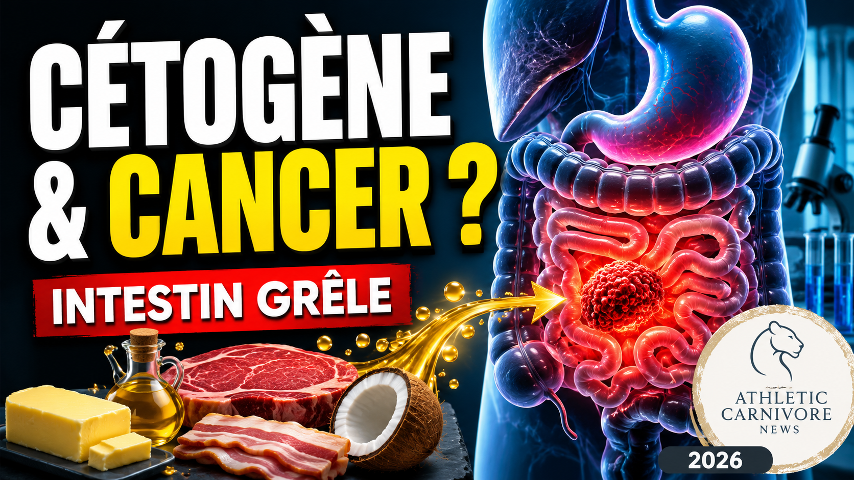 Le régime cétogène et l’intestin grêle : un danger méconnu