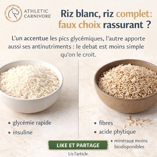 Le riz n’est pas neutre : carburant utile ou piège insulinique selon votre terrain ?