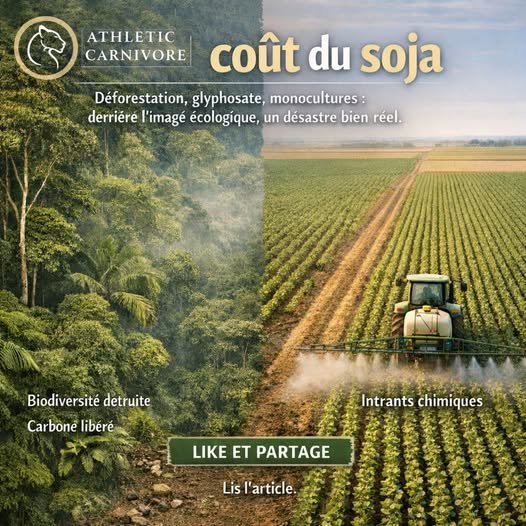 Le soja : dissection d’un mythe nutritionnel moderne